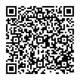 安平區全新未住面綠蔭公園採光三角窗透天-QR CODE