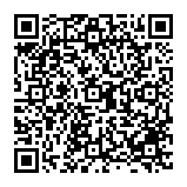 低總價安平精裝小豪宅三樓兩房溫馨居-QR CODE