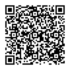 安平老街商圈│福爾摩沙酒店之鄰│湖內二街透天 台南買屋專家-QR CODE