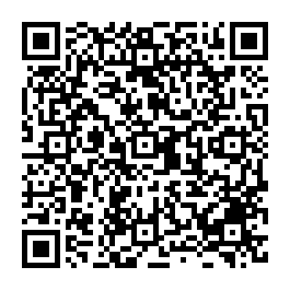 嘉義東區文雅國小旁全新百坪3車電梯豪宅 台南買屋專家-QR CODE