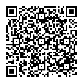 南區邊間48坪大地坪透天｜四面採光近未來新南站 台南買屋專家-QR CODE