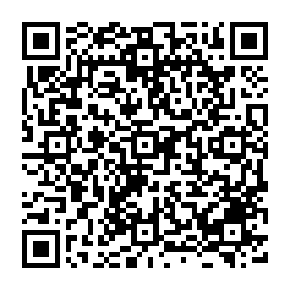 安平區水星光次頂樓好VIEW優質全新裝潢坡平車位 台南買屋專-QR CODE