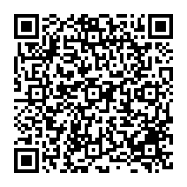 安定蘇厝近南科寬敞舒適大地坪三車透天 台南買屋專家-QR CODE