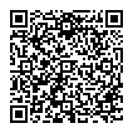東山崎子頭財源廣進2甲2元寶農地-QR CODE