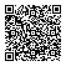 新化12米北勢路137坪精緻方正農地 台南買屋專家-QR CODE