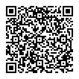 正東山國小12米路大路邊前後臨路絕版豪宅用地 台南買屋專家-QR CODE