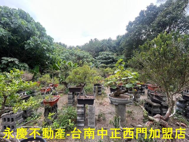 東區透天-13