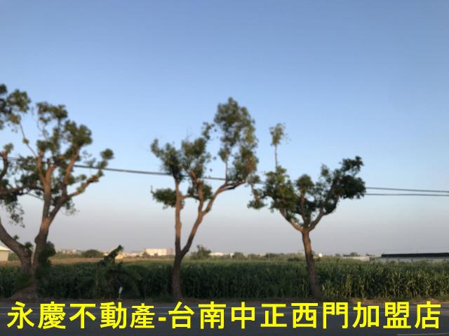 台南佳里透天-10