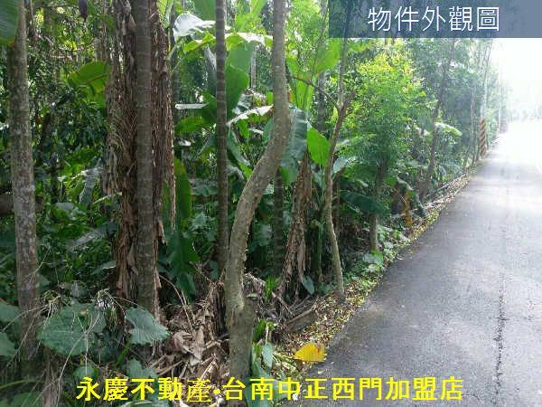 白河農地-0