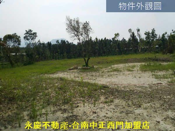 白河農地-2