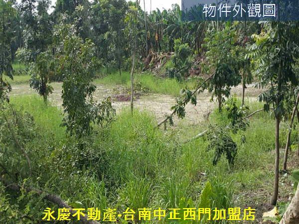 白河農地-4