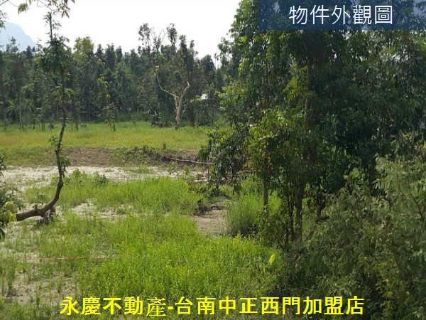 白河農地-5