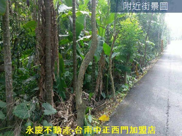 白河農地-4
