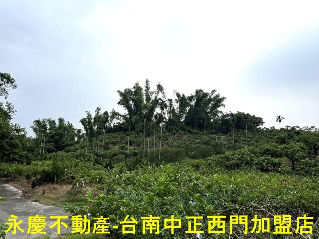 南化農地-0