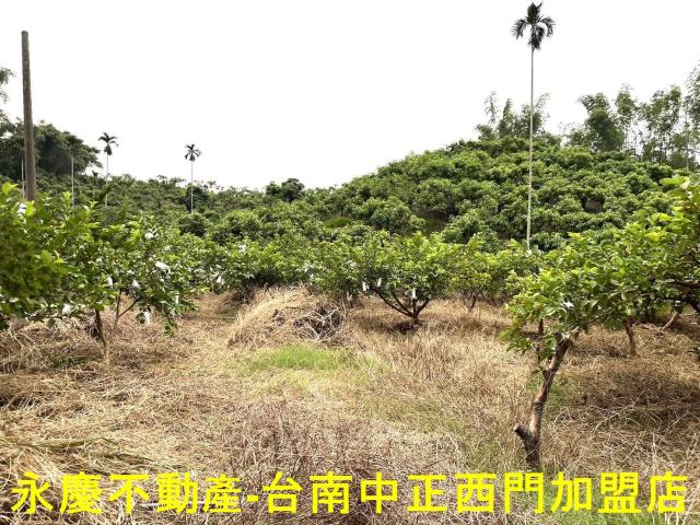 南化農地-1