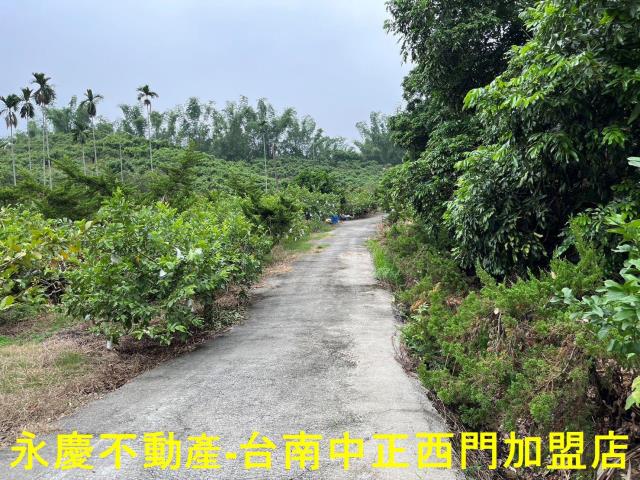南化農地-5