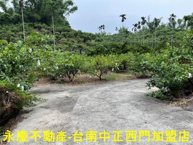 南化農地-7