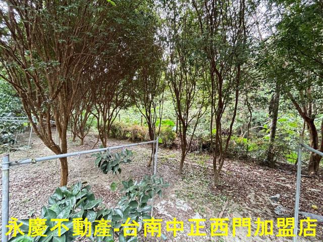 台南白河農地-9
