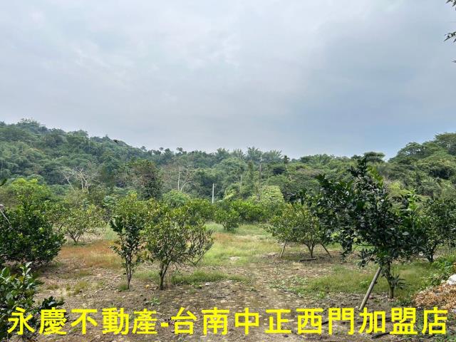 台南白河農地-11