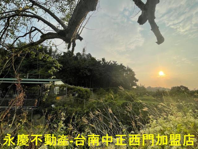 台南白河農地-13