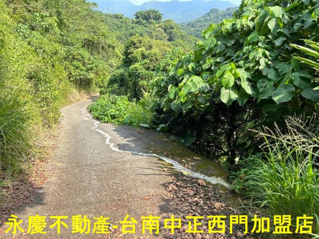 東山農地-7