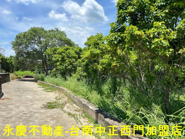 玉井農地-9