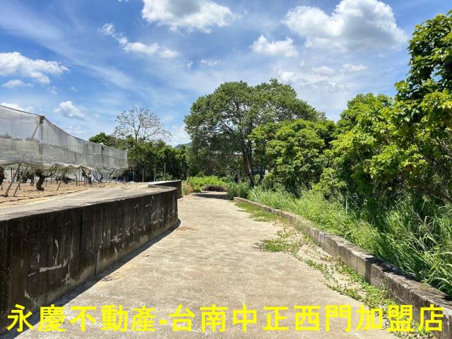 玉井農地-10