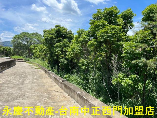 玉井農地-11