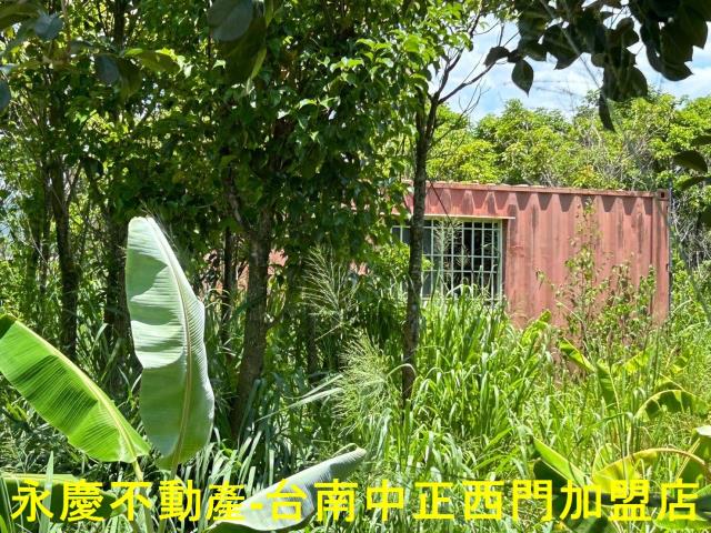 玉井農地-13