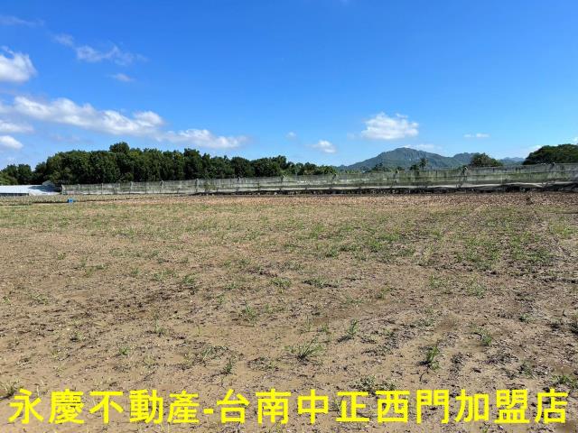 玉井農地-0