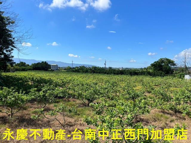 玉井農地-1