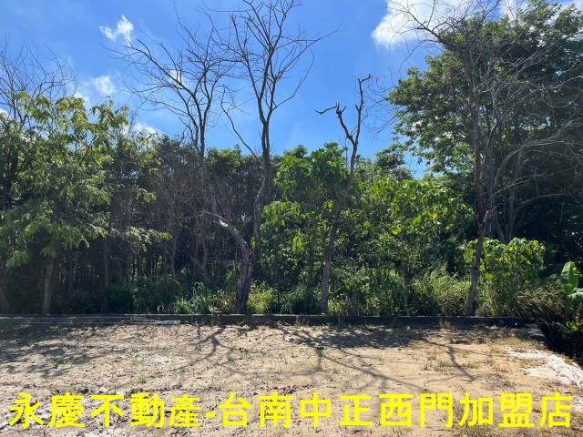 玉井農地-2