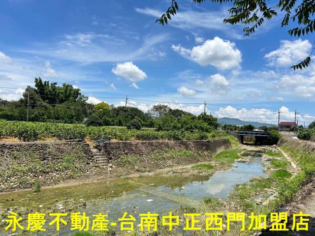 玉井農地-7