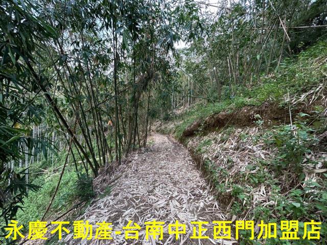 台南林地-9