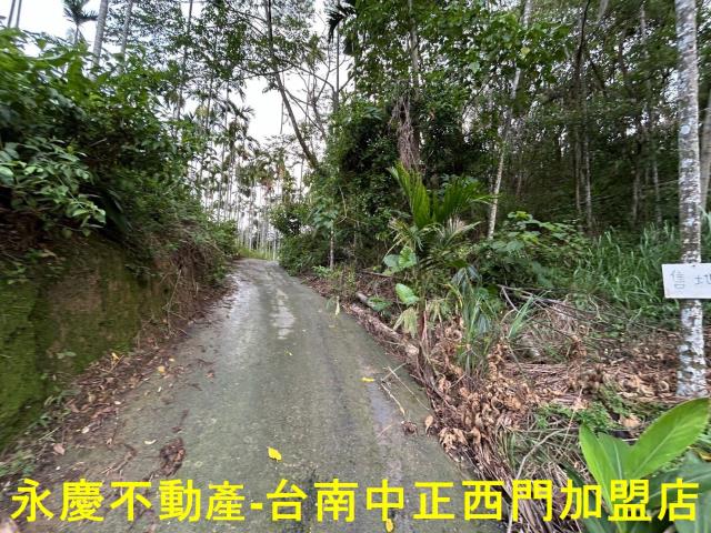台南林地-11