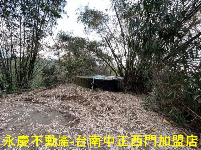 台南林地-2