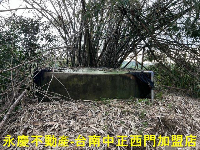 台南林地-4