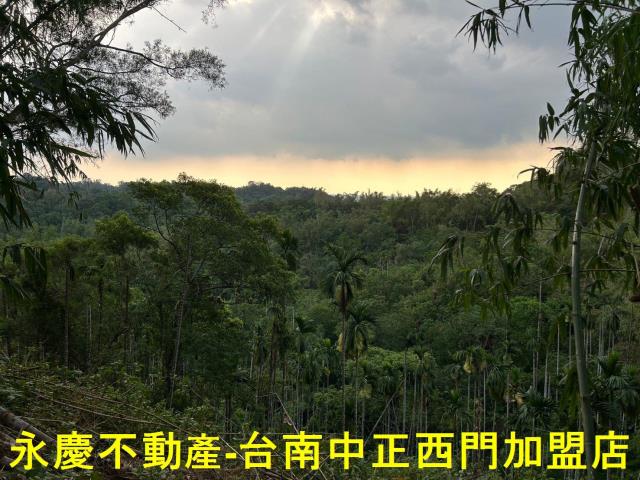 台南林地-6