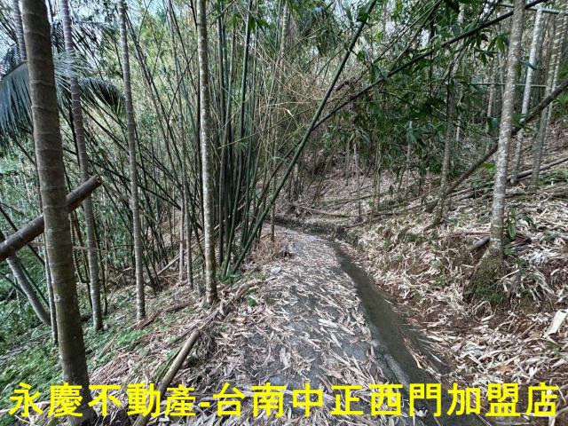 台南林地-8