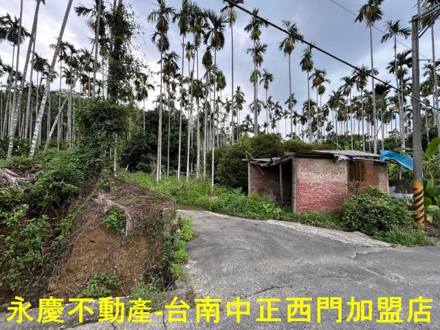 台南白河林地-0
