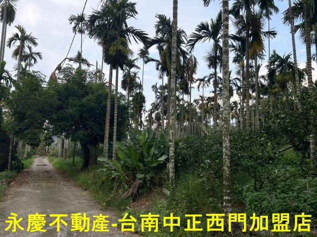 台南白河林地-2