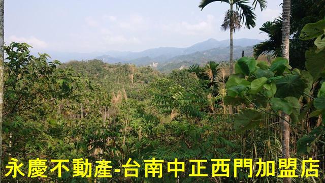 台南白河林地-6