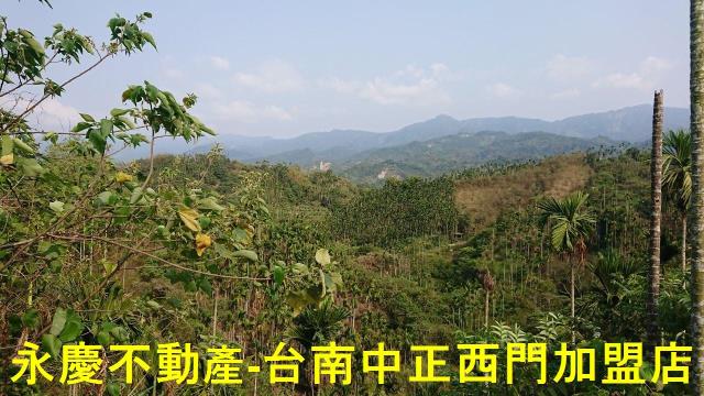 台南白河林地-7