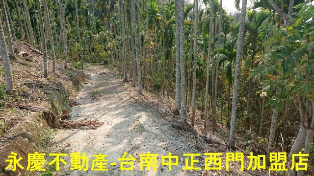 台南白河林地-8