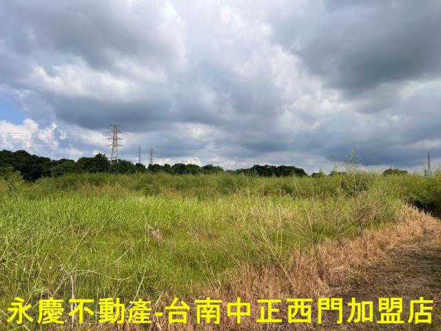 新市農地-3