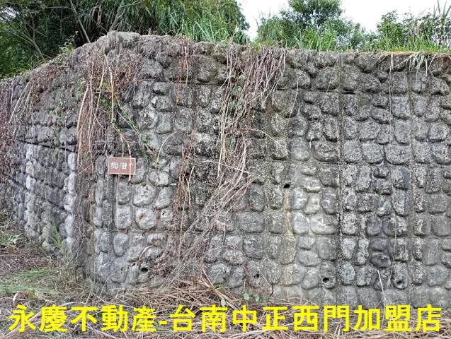 台南楠西農地-5