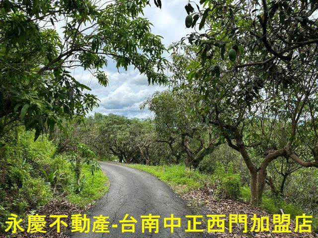 玉井農地-11