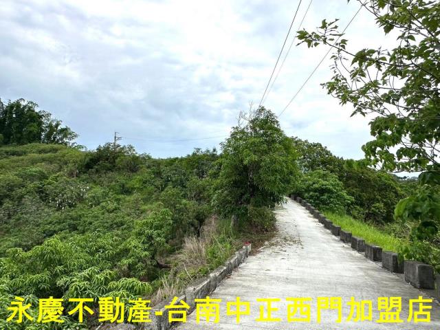 玉井農地-3
