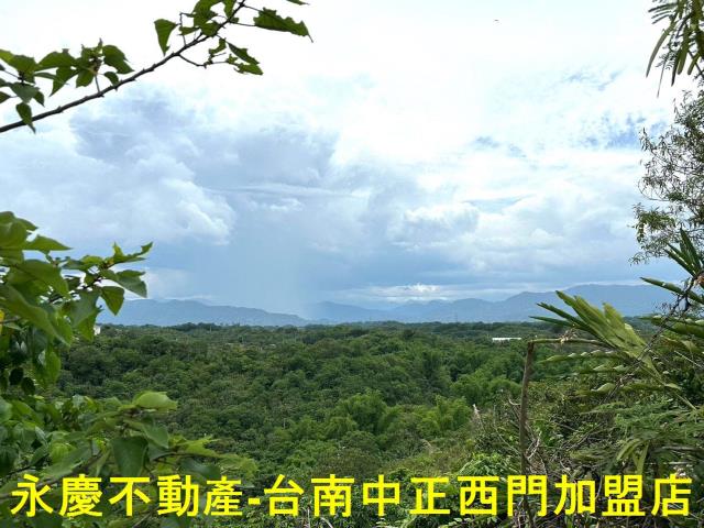 玉井農地-4