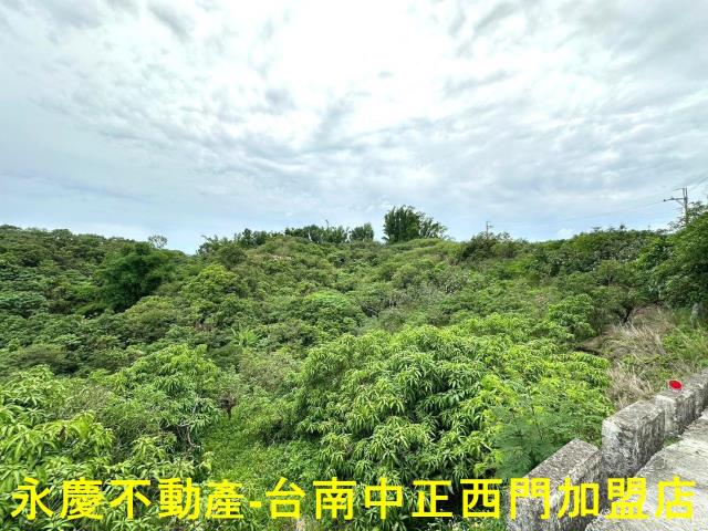 玉井農地-5